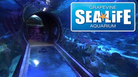 Sea life grapevine aquarium - 